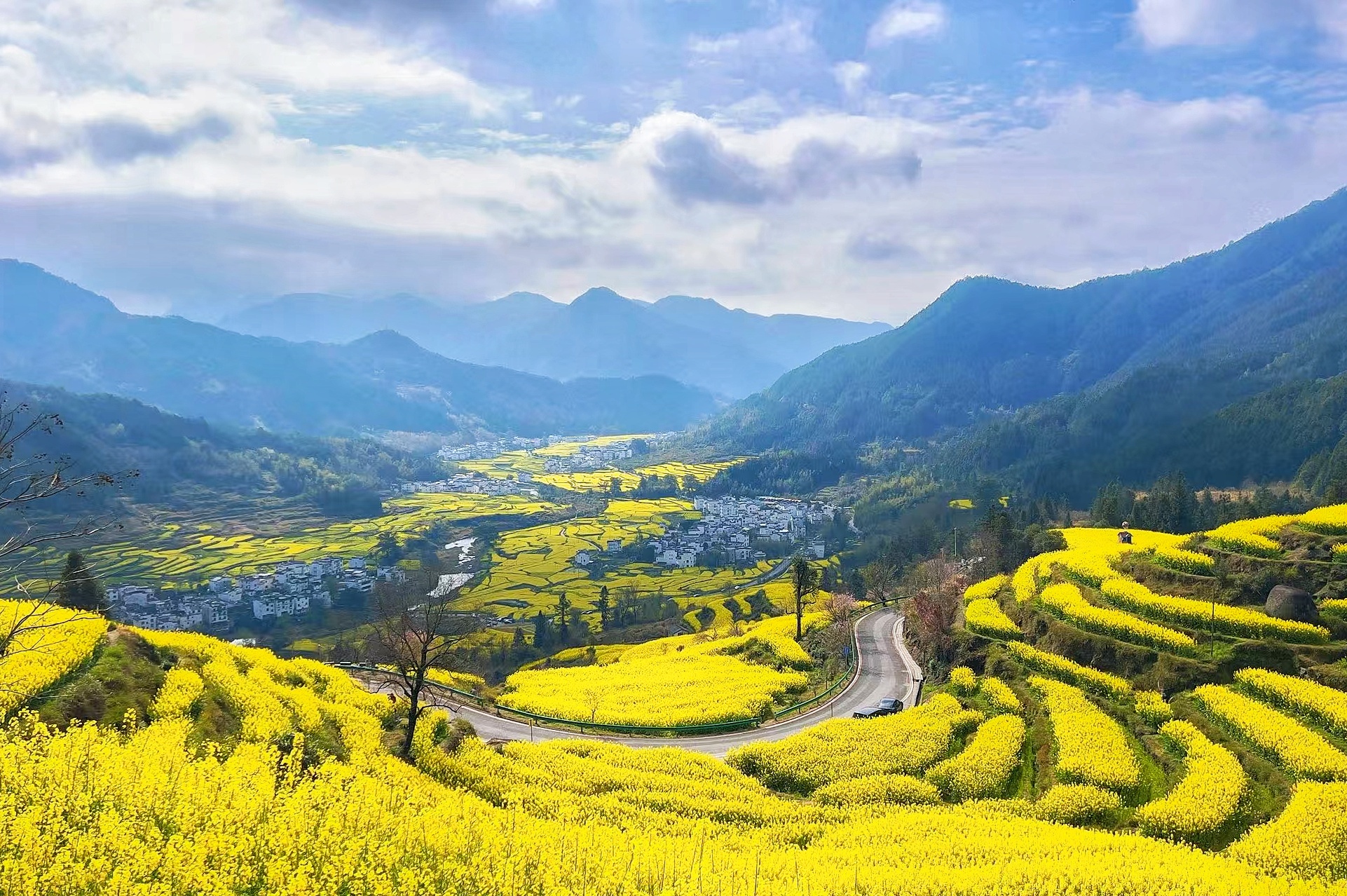 从烟雨古村到金色花海 ——滁州老年大学手机摄影班春季采风活动侧记