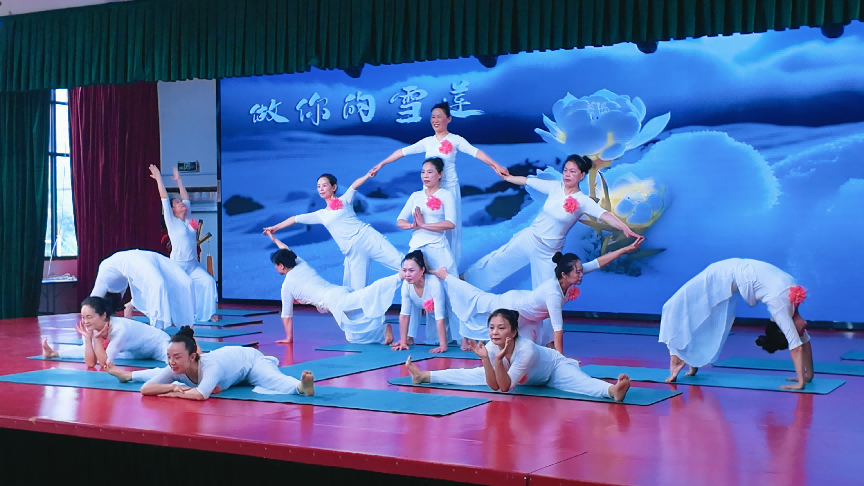 萧县老年大学举办建校三十周年教学成果展示暨文艺汇演(图4)